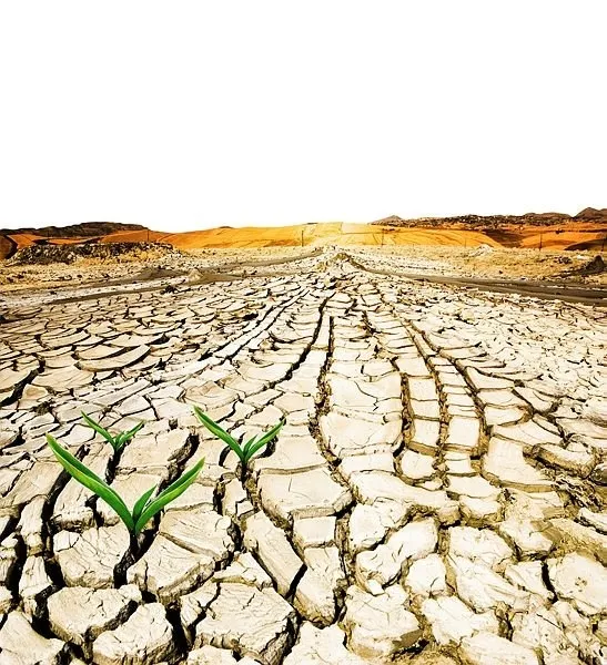 1622178647119.jpg TÜİK ilk tahminleri yayımladı! İşte Türkiye'nin kuraklık faturası belli oldu - 11