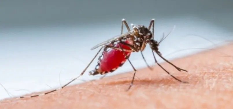 Dünya tarihini değiştiren kanlı komutan Anofel 52 milyar insanın ölümüne neden oldu