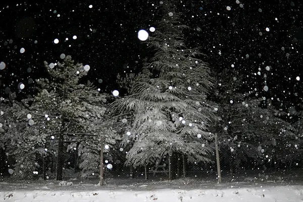 meteorolojiden-uyarilar-pes-pese-geldi-12-ile-sari-ve-turuncu-kodlu-alarm-kar-saganak-firtina-geliyor-1707171583398.jpg Meteoroloji'den uyarılar peş peşe geldi! 12 ile sarı ve turuncu kodlu alarm | Kar, sağanak, fırtına... - 14