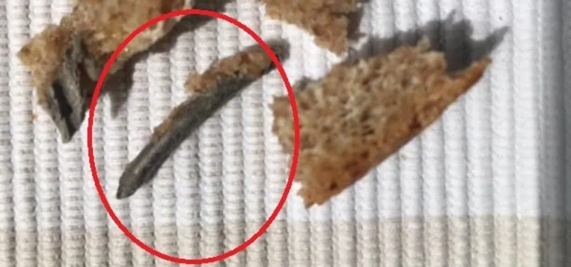 İstanbul Halk Ekmek A.Ş.’nin sattığı organik ekmekten çivi çıktı