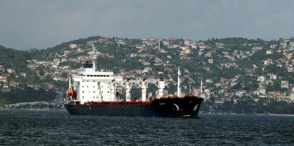 3-tahil-gemisi-daha-yola-cikiyor-milli-savunma-bakanligindan-son-dakika-aciklamasi-1659636291642.jpg 3 tahıl gemisi daha yola çıkıyor! Milli Savunma Bakanlığından son dakika açıklaması - 2