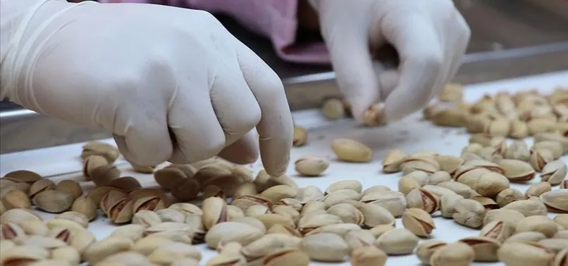 Antep fıstığı da 'Çin Seddi'ni aştı