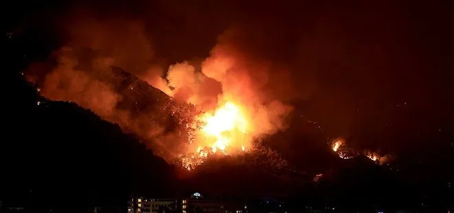 Son dakika: Türkiye genelindeki orman yangınlarında son durum ne? Tarım ve Orman Bakanı Bekir Pakdemirli açıkladı