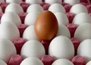 Yumurtanın toptan satışlarında KDV yüzde 1e indirildi