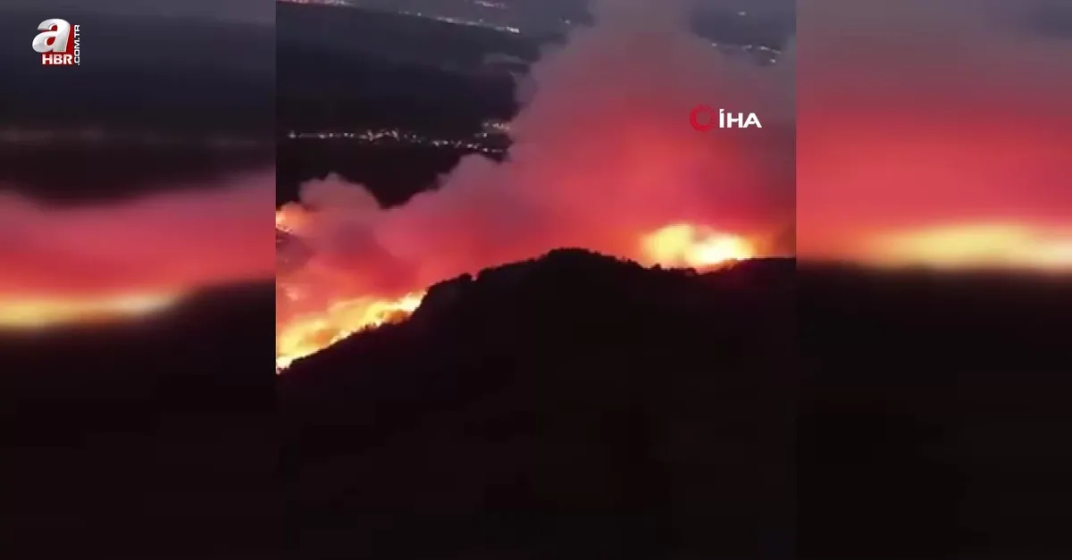 Hatay'da orman yangını
