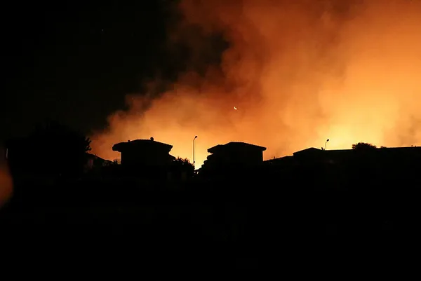 Son dakika: Bakan Bekir Pakdemirli’den Çeşme’deki orman yangını hakkında flaş açıklama