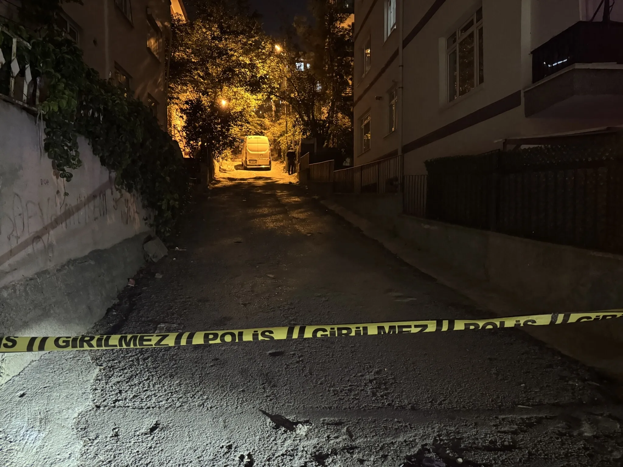 'da Bir Evde Üç Erkek Cansız Bedeni Bulundu