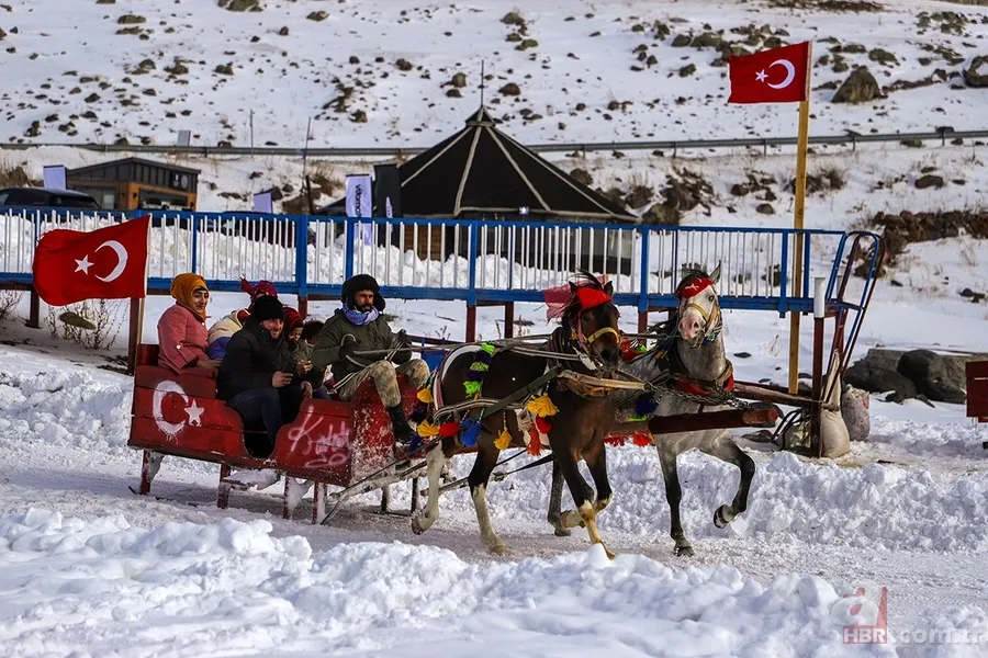 Çıldır Gölü ilgi odağı oldu! Turistler atlı kızağa hayran kaldı 4