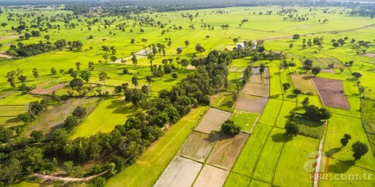 O ilçede sudan ucuz arsa! Milli Emlak yayına aldı: İstanbul’a çok yakın! 7