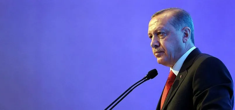 Başkan Erdoğan'ın 'Kapıları açarız' mesajı Bulgaristan'ı endişelendirdi