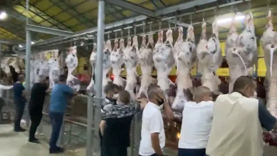 Ibb Nin Kurban Kesim Merkezinde Rezillik Ahaber Video Izle