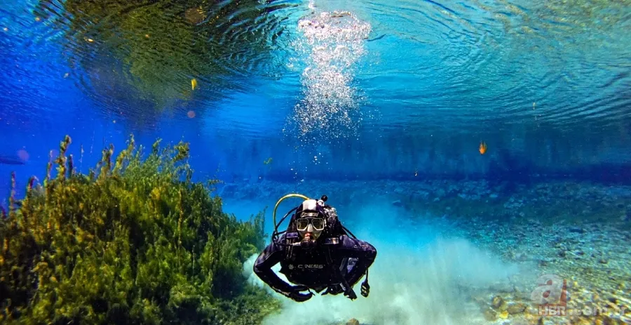 Sivas'ın meşhur berrak gölü deprem sonrası çamura bulandı 1