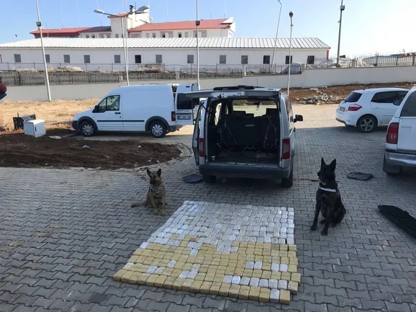 Narkotik köpeği Şila’dan uyuşturucu satıcılarına darbe! - 2