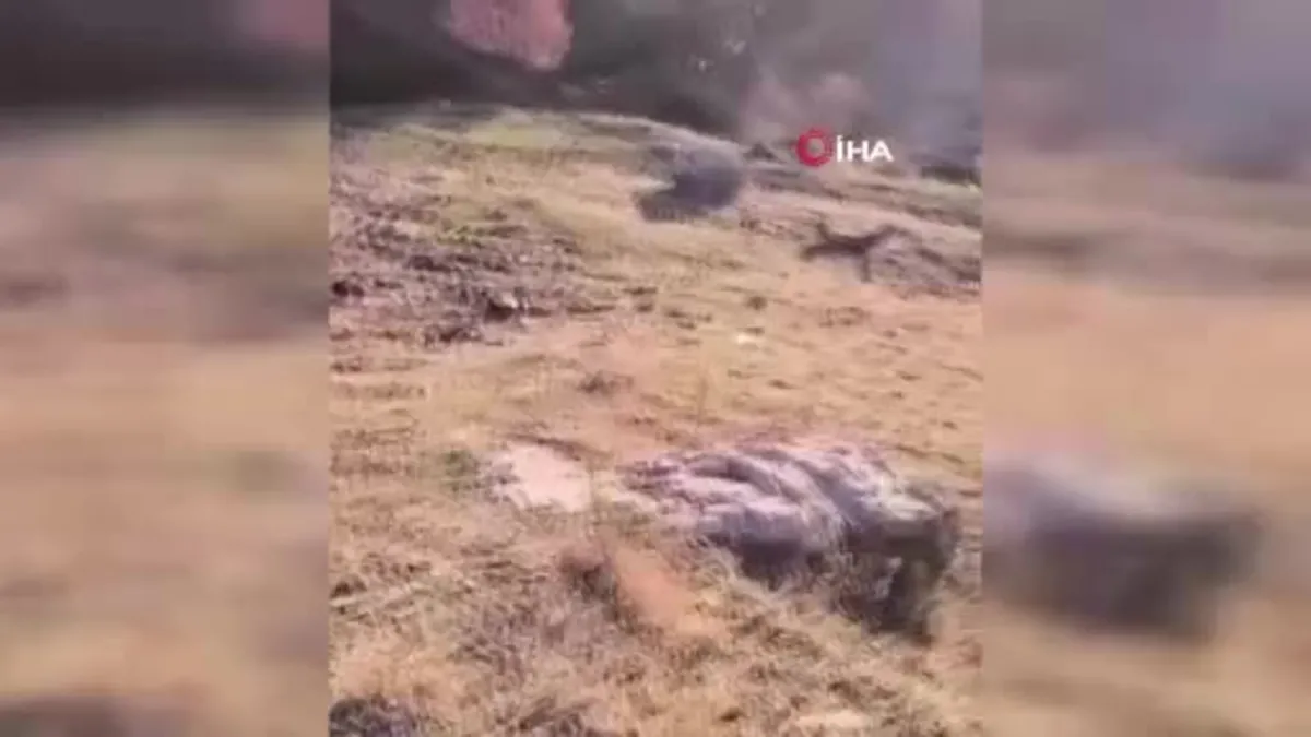 Batman'da otomobil şarampole yuvarlandı: 1 ölü 2 yaralı