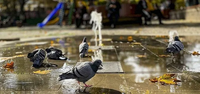 Meteoroloji son dakika olarak duyurdu! Dikkat çeken hafta sonu detayı! Tam kış geldi derken... 12 Kasım hava durumu İstanbul, Ankara, İzmir .