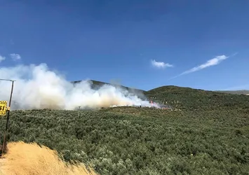 Bursa'da hastane yakınındaki orman yangını kontrol altına alındı