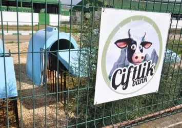 Çiftlik Bank'ın 'beyin takımı' ortaya çıktı!