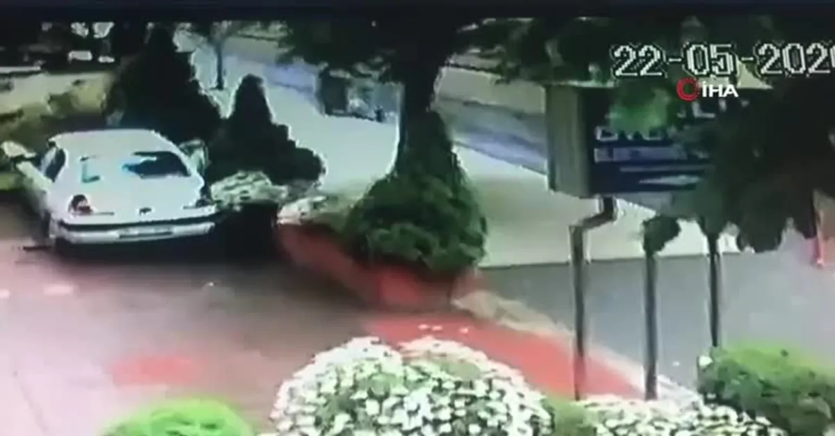 Son dakika: İstanbul Kadıköy'de fırtına ağacı devirdi! O anlar kamerada |Video