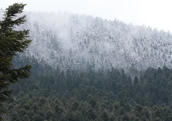 Bolu'nun yüksek kesimlerine kar yağdı