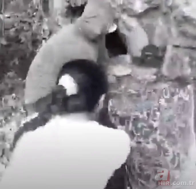 Anakonda ormanda insana saldırdı 🐍 Tam mağaraya götürürken... 16