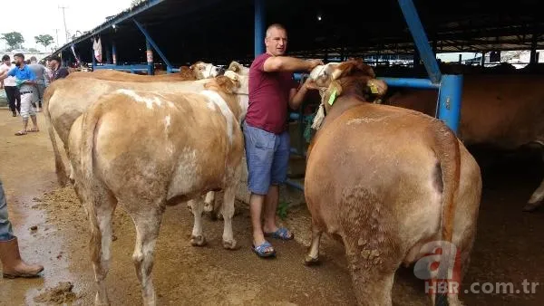 Kurban Bayramı'na saatler kala hareketli dakikalar! Kiminin kolu çatladı, kiminin boğası kaçtı 14