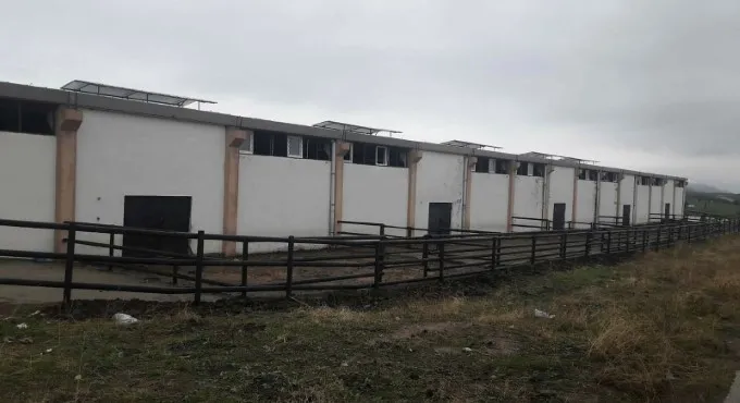 Diyarbakır'da bir Çiftlik Bank vakası daha! 20 milyon toplayıp kayıplara karıştılar - 3