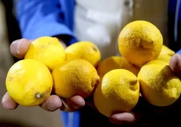 Mutfakların vazgeçilmezine vergi indirimi!