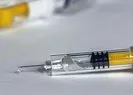 İki ülkeden daha Kovid-19 aşısıyla ilgili iyi haber