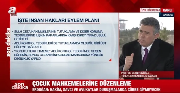 Metin Feyzioğlu Başkan Erdoğan'ın açıkladı İnsan Hakları Eylem Planını A Haber'e yorumladı: Gurur verici - 2