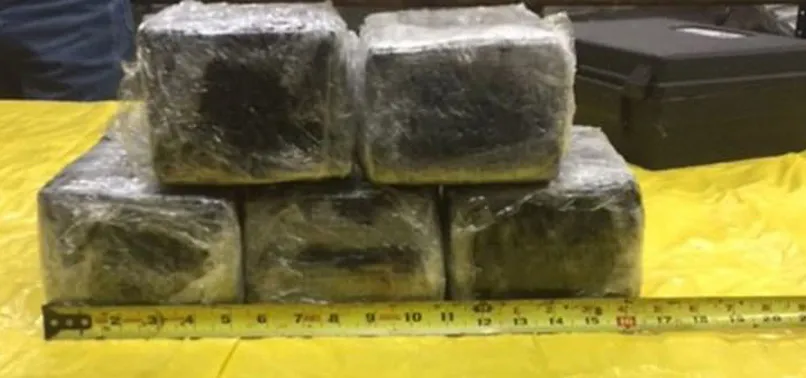 Uçağın burnunda bulundu