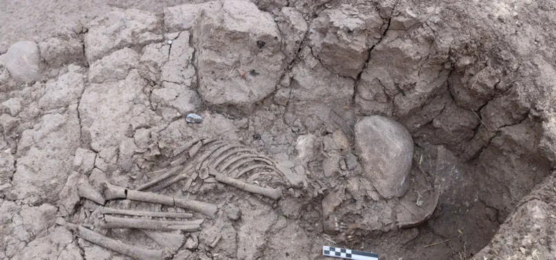 Tunceli’de 5 bin 500 yıllık iskelet bulunu