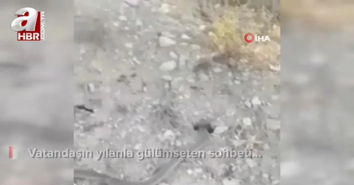 Vatandaşın yılanla gülümseten sohbeti...