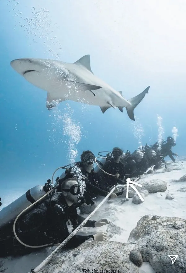 Eda Taşpınar adrenalin uğruna ölümle burun buruna geldi!