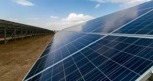 Güneş tarlası vurgununda harekete geçildi!