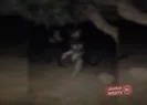 Görüntüler sosyal medyayı ayağı kaldırdı! Köpeği diri diri astı