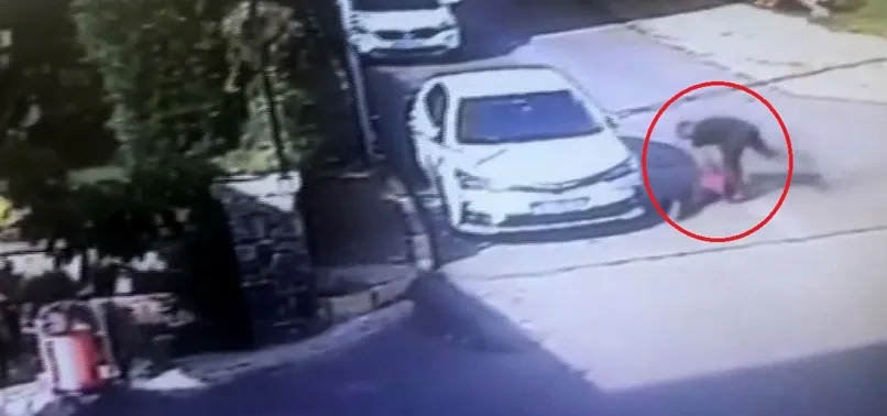 çekirdek dayak ile ilgili görsel sonucu