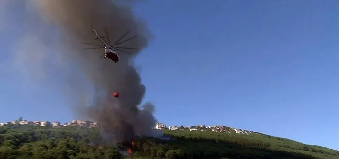 Son dakika: İstanbul Maltepe’de ormanlık alanda yangın