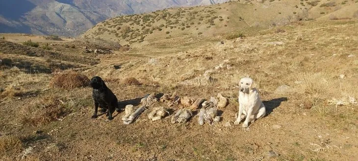 Bitlis’te PKK’ya darbe! Delil niteliği taşıyan malzemeler ele geçirildi