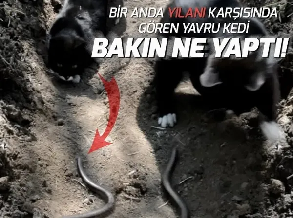 ÖSYM'den sınava girecek adaylara önemli uyarı - 1