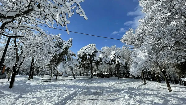 Cuma ve Cumartesi kar geliyor! Hangi illere kar yağacak? Meteoroloji milyonları peş peşe uyardı - 8
