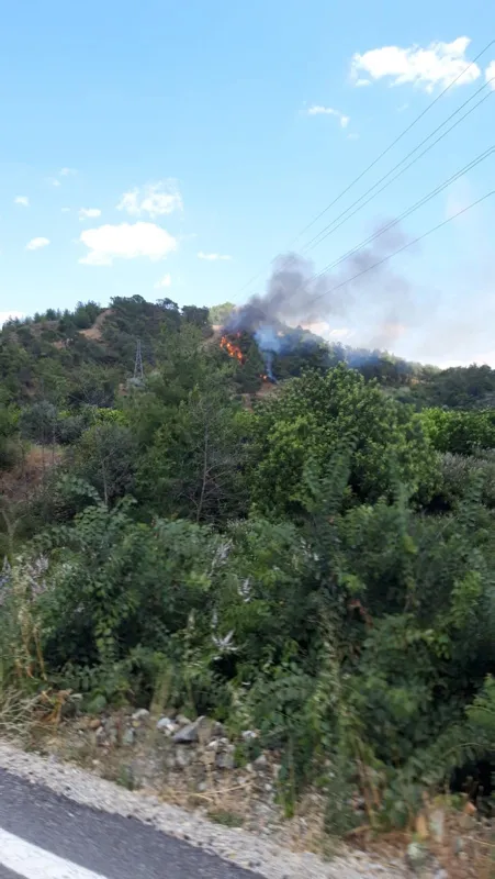 Son dakika: Muğla'da orman yangını! Havadan ve karadan müdahale ediliyor. - 3