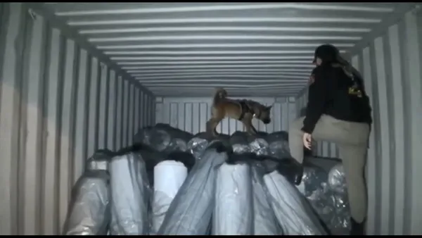 Ambarlı Limanı'nda 1 ton 580 kilo marihuana ele geçirildi! Meksika'dan İstanbul'a getirmişler - 8