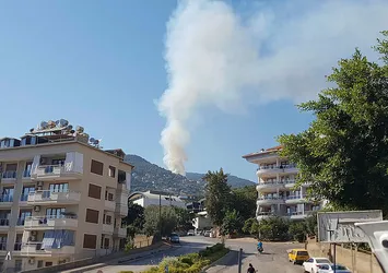 Antalya’nın Alanya ilçesinde orman yangını kontrol altında