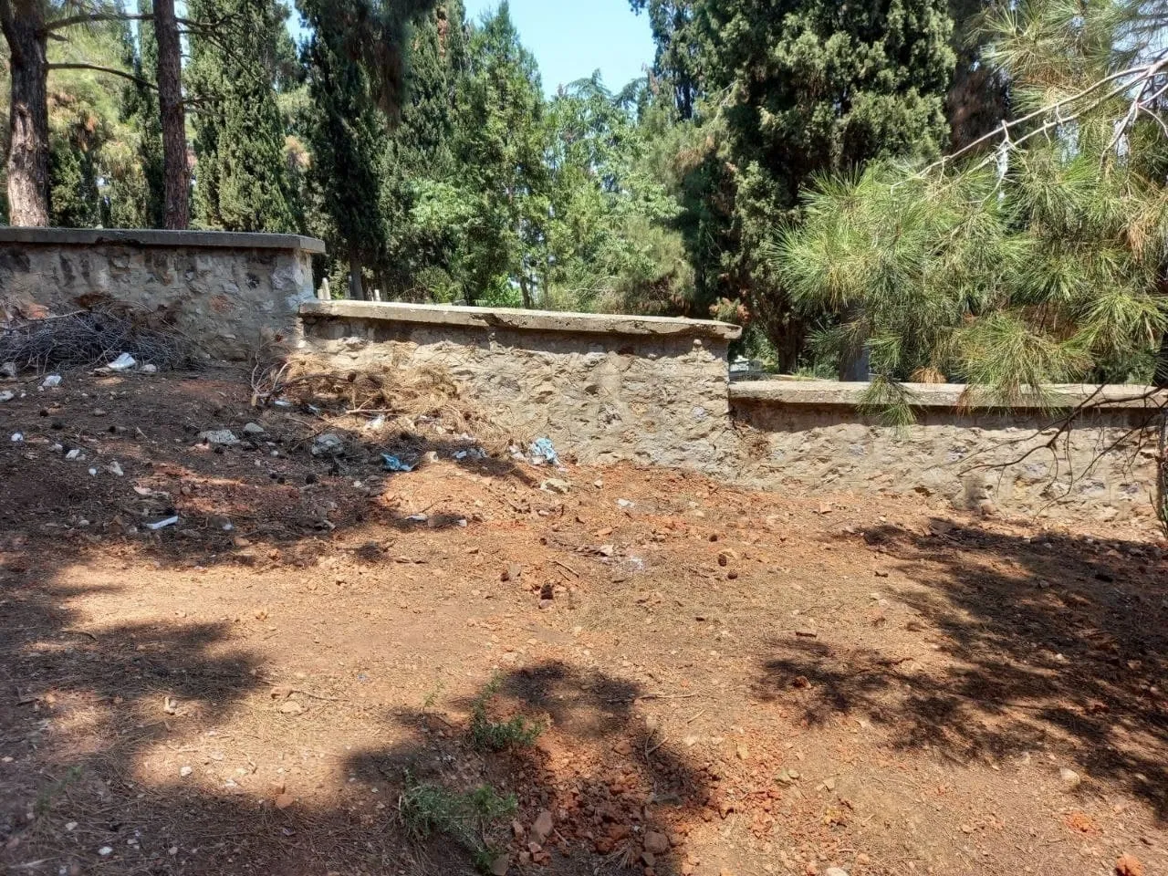 Büyükada'da defin yeri kalmadı! CHP'li İBB'den skandal çözüm: Kaçak mezarlık