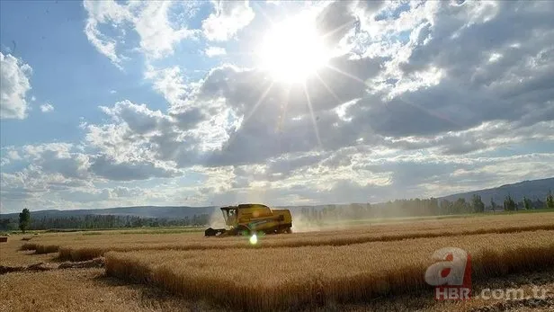TMO'dan "hububat" açıklaması 5