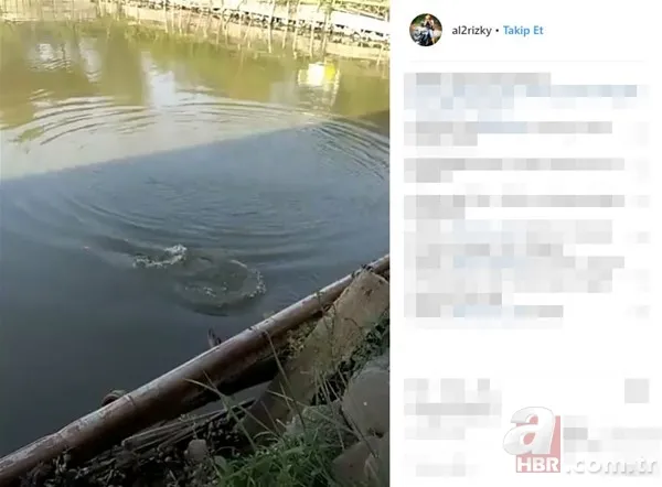 Öyle bir şey tuttu ki... Tam 27 kilo! Bakın ne yaptı? 13