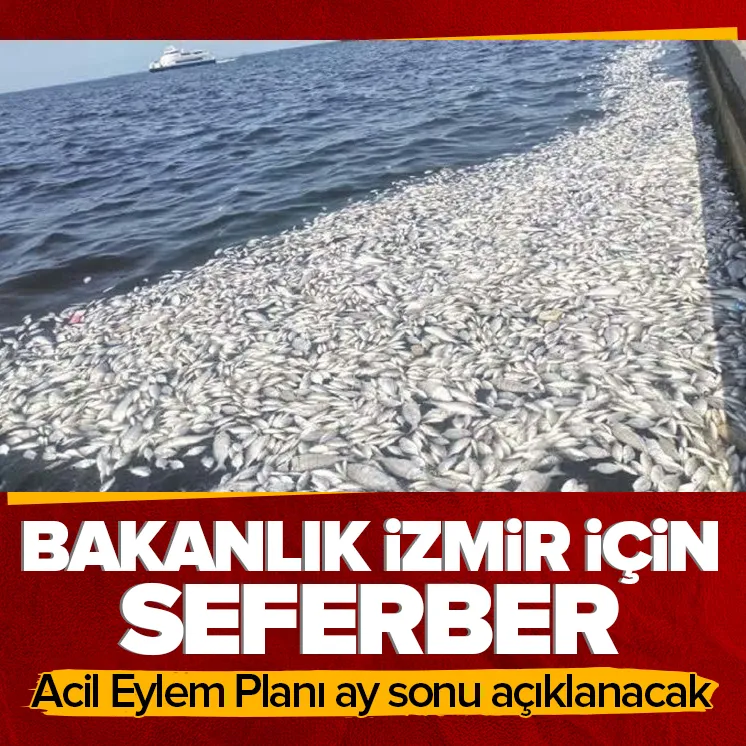 İzmir Körfezi için bakanlık seferber!