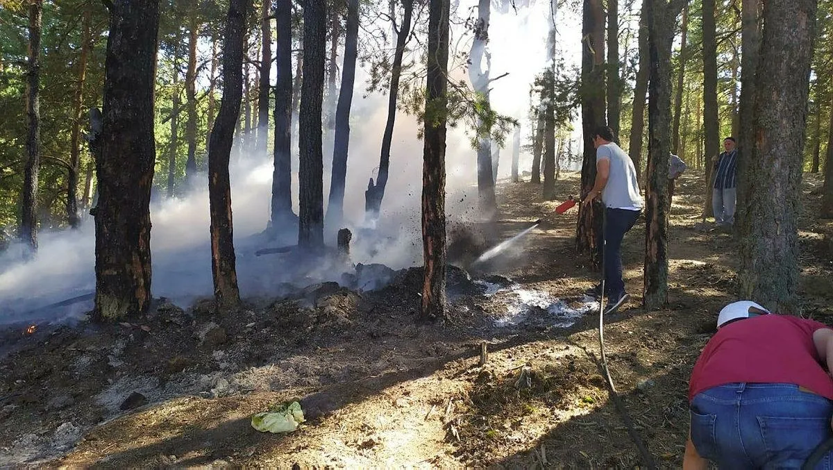 Son dakika: Bolu'da orman yangını!