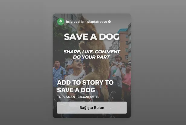 Instagram Save A Dog bağışı nedir, amacı ne? Çin Yulin Köpek Eti Festivali'ne 'DUR' kampanyası! - 2