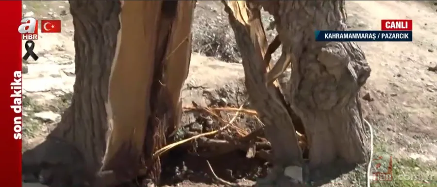 Görenler hayrete düştü! DEPREMİN merkez üssü Kahramanmaraş Pazarcık'ta ÇARPICI manzara... A Haber muhabiri: Meslek hayatımda ilk kez... 10